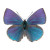 Iridescent Blue Butterfly Vinyl Car Decal Sticker – Waterproof & UV-Resistant 