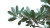 Bay Laurel Sky Vinyl Car Decal Sticker – Waterproof & UV-Resistant 