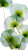 Transparent Lotus Leaf Vinyl Car Decal Sticker – Waterproof & UV-Resistant 