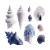 Colorful Sea Shells Vinyl Car Decal Sticker – Waterproof & UV-Resistant 