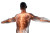 Glowing Energy Body Vinyl Car Decal Sticker – Waterproof & UV-Resistant 