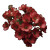 Red Flowers Vinyl Car Decal Sticker – Waterproof & UV-Resistant 