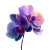 Gradient Orchid Vinyl Car Decal Sticker – Waterproof & UV-Resistant 