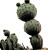 Stacked Cactuses Vinyl Car Decal Sticker – Waterproof & UV-Resistant 