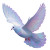 Pearlescent Dove Vinyl Car Decal Sticker – Waterproof & UV-Resistant 