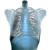 Chest X-Ray V2 Vinyl Car Decal Sticker – Waterproof & UV-Resistant 