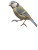 Arm Holding Bluetit Vinyl Car Decal Sticker – Waterproof & UV-Resistant 
