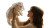 Girl With Persian Cat Vinyl Car Decal Sticker – Waterproof & UV-Resistant 