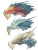 Fantasy Reading Dragons Vinyl Car Decal Sticker – Waterproof & UV-Resistant 