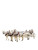 Majestic White Carriage Vinyl Car Decal Sticker – Waterproof & UV-Resistant 