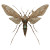Gothic Mosquito Sketch Vinyl Car Decal Sticker – Waterproof & UV-Resistant 
