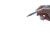 Hand With Pencil Vinyl Car Decal Sticker – Waterproof & UV-Resistant 