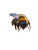 Sleeping Bee Vinyl Car Decal Sticker – Waterproof & UV-Resistant 