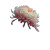 Pink Chrysanthemum Vinyl Car Decal Sticker – Waterproof & UV-Resistant 