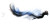 Morphing Dragon Vinyl Car Decal Sticker – Waterproof & UV-Resistant 