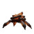 Sentient Campfire Vinyl Car Decal Sticker – Waterproof & UV-Resistant 