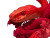 Red Snake Art Vinyl Car Decal Sticker – Waterproof & UV-Resistant 