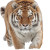 Siberian Tiger V2 Vinyl Car Decal Sticker – Waterproof & UV-Resistant 