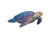 Tropical Fish V2 Vinyl Car Decal Sticker – Waterproof & UV-Resistant 