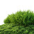 Green Lawn Grass Vinyl Car Decal Sticker – Waterproof & UV-Resistant 