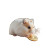 Hamster With Bitcoin Vinyl Car Decal Sticker – Waterproof & UV-Resistant 