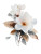 White Flower Painting V2 Vinyl Car Decal Sticker – Waterproof & UV-Resistant 