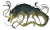 Eldritch Wolf Snake Vinyl Car Decal Sticker – Waterproof & UV-Resistant 