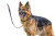 German Shepherd Alert Vinyl Car Decal Sticker – Waterproof & UV-Resistant 