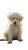 Sad Golden Retriever V2 Vinyl Car Decal Sticker – Waterproof & UV-Resistant 