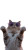 Surfing Cat Fireworks V2 Vinyl Car Decal Sticker – Waterproof & UV-Resistant 