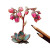 Succulent Flower Drawing Vinyl Car Decal Sticker – Waterproof & UV-Resistant 
