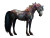 Fantastical Horse Vinyl Car Decal Sticker – Waterproof & UV-Resistant 
