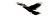 Mythical Yatagarasu Flight Vinyl Car Decal Sticker – Waterproof & UV-Resistant 