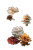 Forest Mushroom Variety Vinyl Car Decal Sticker – Waterproof & UV-Resistant 