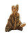 Fantasy Blonde Girl V4 Vinyl Car Decal Sticker – Waterproof & UV-Resistant 