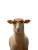 Sheep With Sunglasses V2 Vinyl Car Decal Sticker – Waterproof & UV-Resistant 