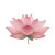 Pink Lotus Bloom V6 Vinyl Car Decal Sticker – Waterproof & UV-Resistant 