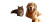 Cozy Pet Scene Vinyl Car Decal Sticker – Waterproof & UV-Resistant 