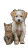 Sad Puppy And Cat Vinyl Car Decal Sticker – Waterproof & UV-Resistant 