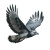 Harpy Eagle Vinyl Car Decal Sticker – Waterproof & UV-Resistant 