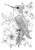 Hummingbird Coloring Page Vinyl Car Decal Sticker – Waterproof & UV-Resistant 