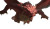 Epic Dragon Artwork Vinyl Car Decal Sticker – Waterproof & UV-Resistant 