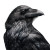 Ultra Realistic Raven Vinyl Car Decal Sticker – Waterproof & UV-Resistant 