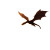 Dragon Over Castle V2 Vinyl Car Decal Sticker – Waterproof & UV-Resistant 