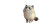 Ragdoll Cat V4 Vinyl Car Decal Sticker – Waterproof & UV-Resistant 