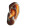Healthy Human Ear Vinyl Car Decal Sticker – Waterproof & UV-Resistant 