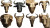 Golden Wildebeest Icons Vinyl Car Decal Sticker – Waterproof & UV-Resistant 