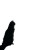 Cat On Sailboat Vinyl Car Decal Sticker – Waterproof & UV-Resistant 