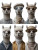 Stylish Alpacas Summer Vinyl Car Decal Sticker – Waterproof & UV-Resistant 