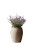 Lavender In Luxury Vinyl Car Decal Sticker – Waterproof & UV-Resistant 